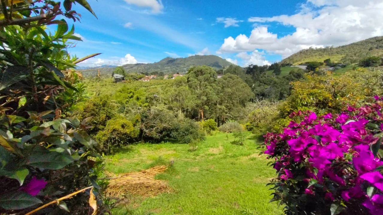 CASA CAMPESTRE EN VENTA O ARRIENDO EN PONTEZUELA, RIONEGRO 