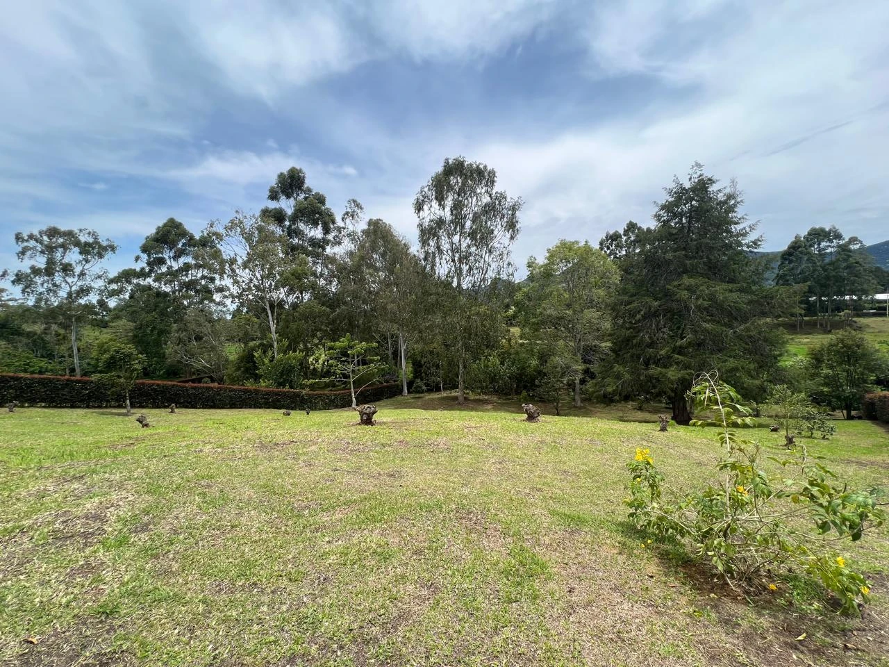 Lote en venta La Ceja