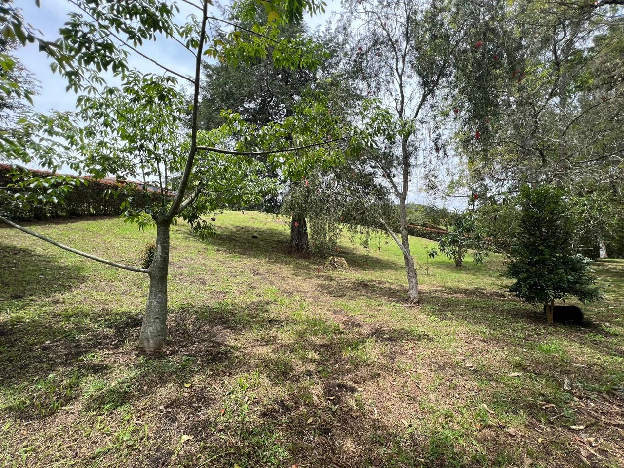 Lote en venta La Ceja