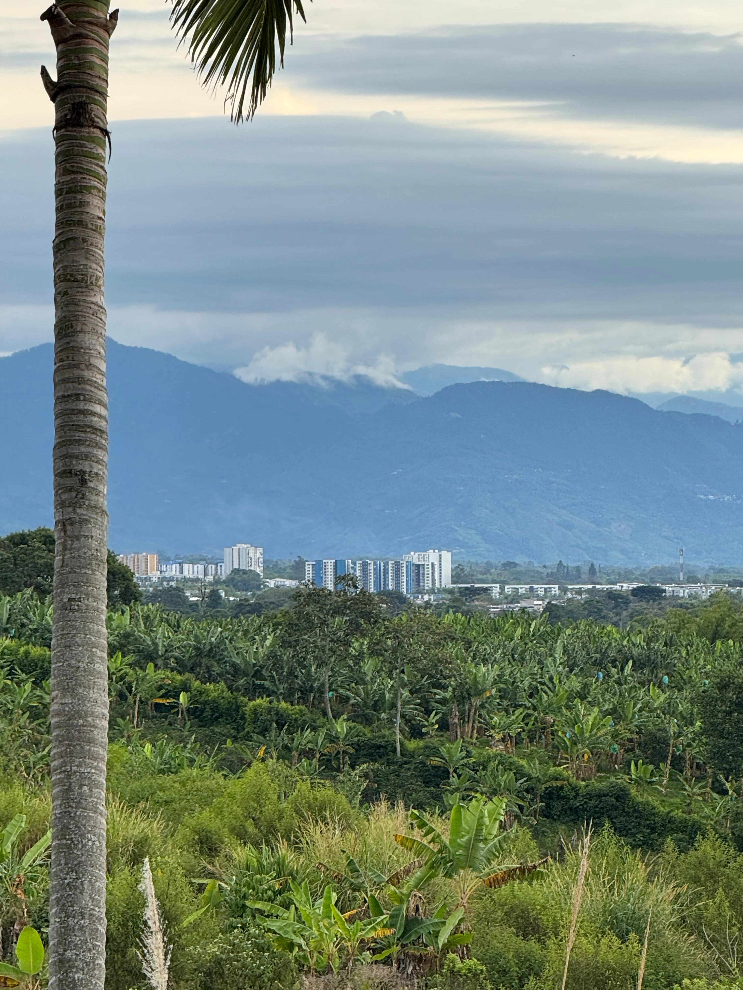 Finca en venta en armenia, Quindío