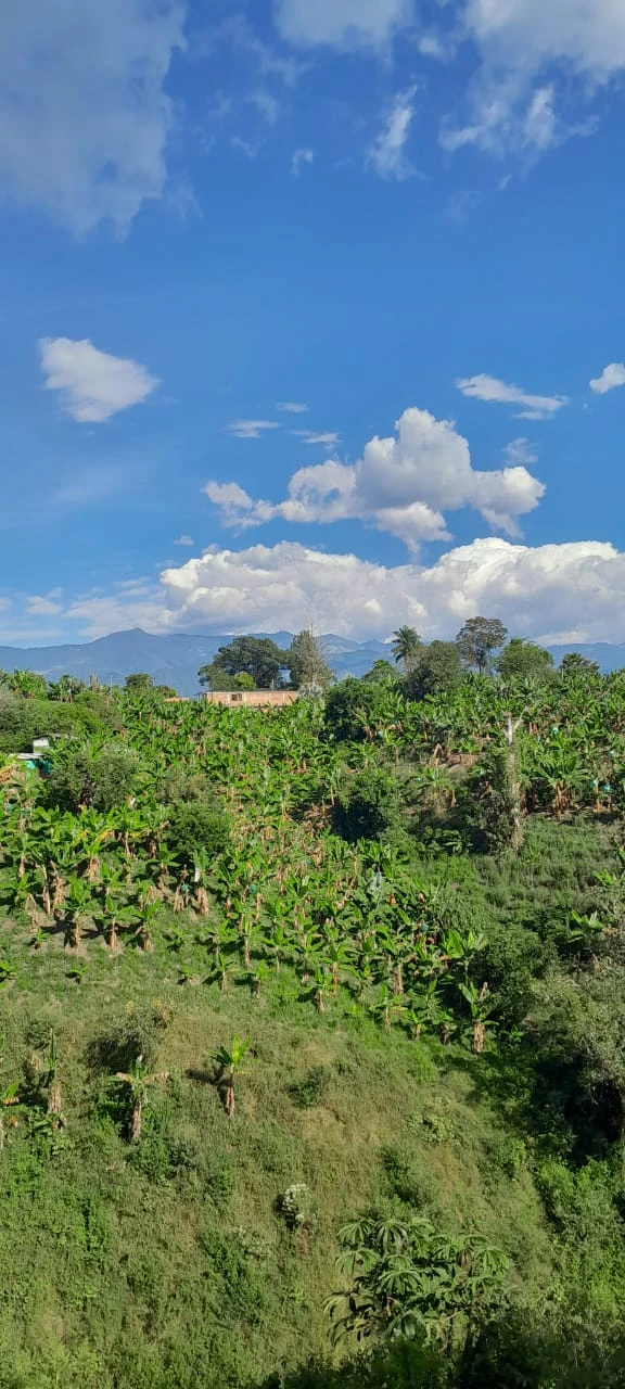 Finca en venta en armenia, Quindío