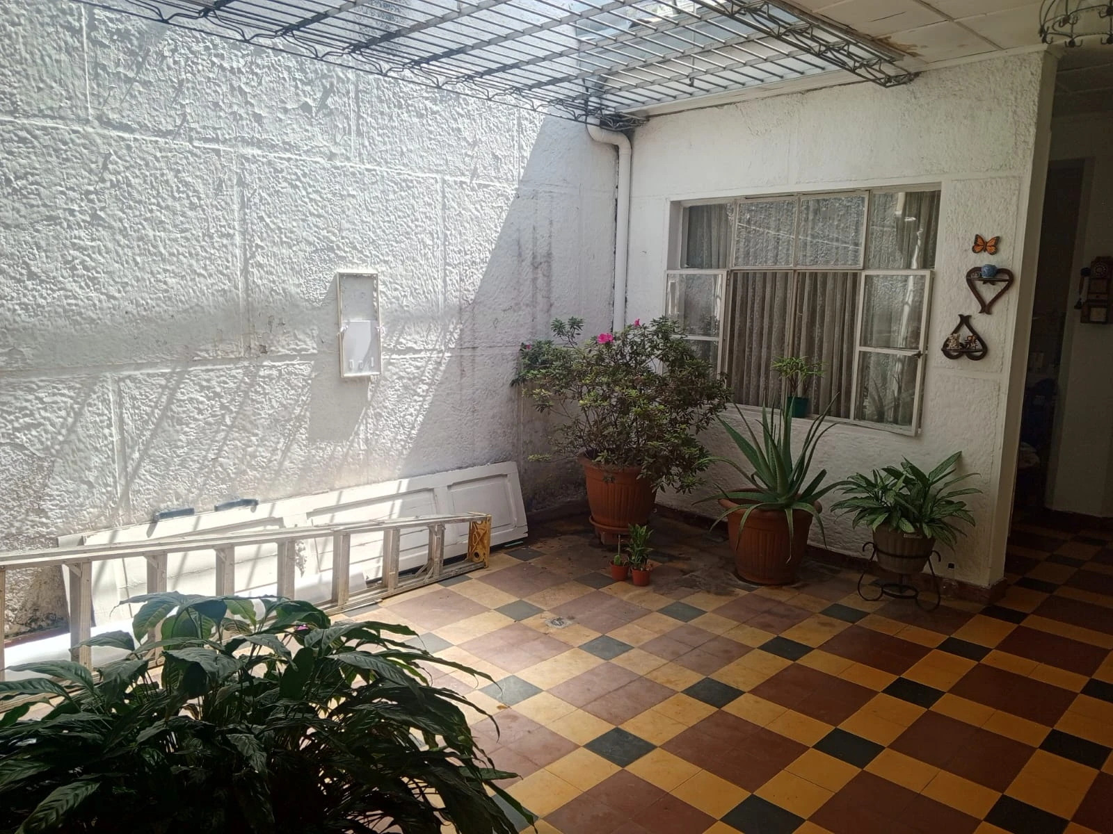 Casa en arriendo en Prado centro