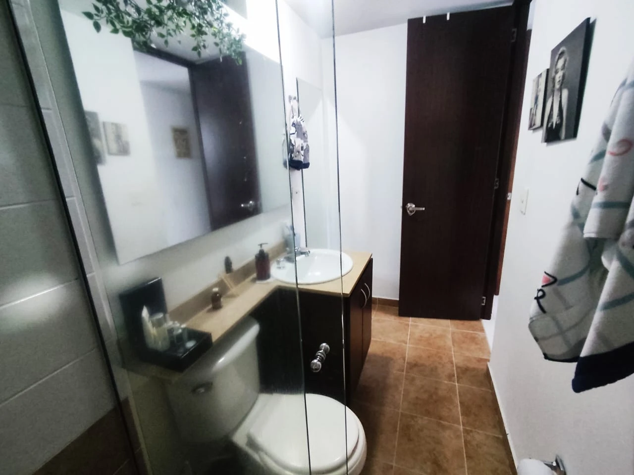 Apartamento en Arriendo sector Mall el Indio Palmas