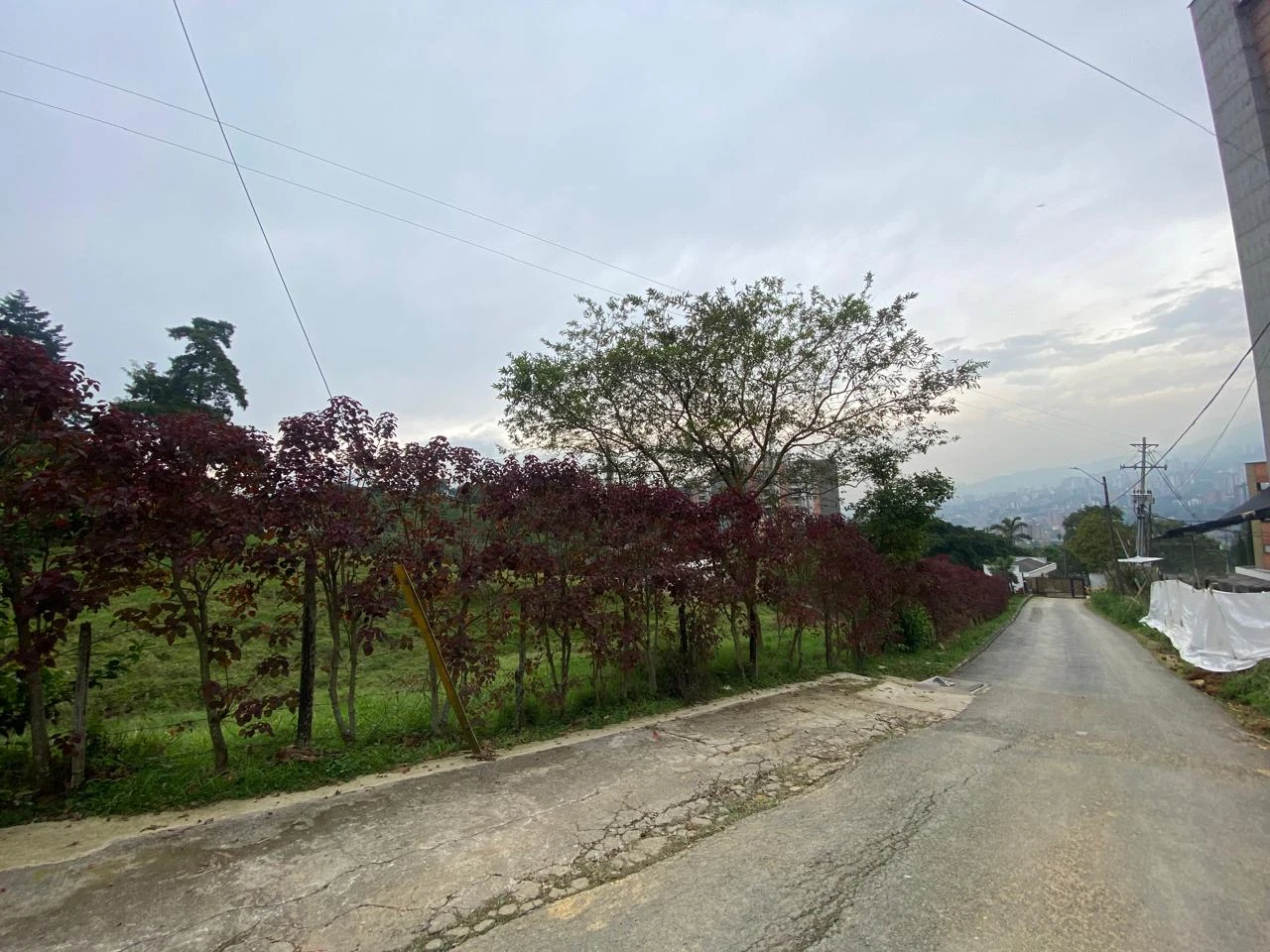 Arriendo Apartamento envigado