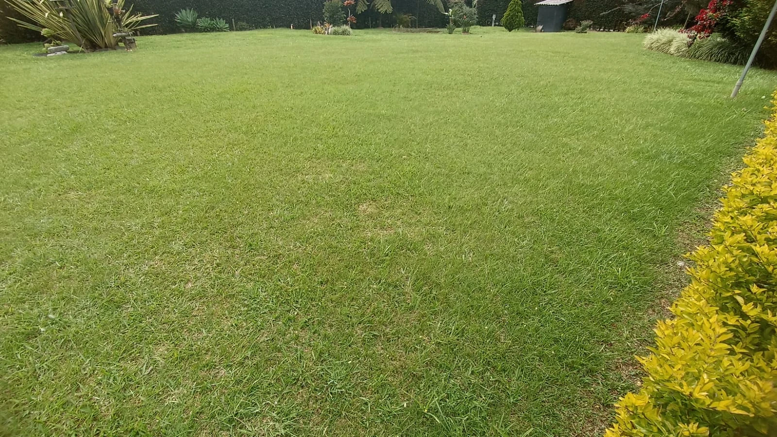 Casa finca en arriendo en Guarne 