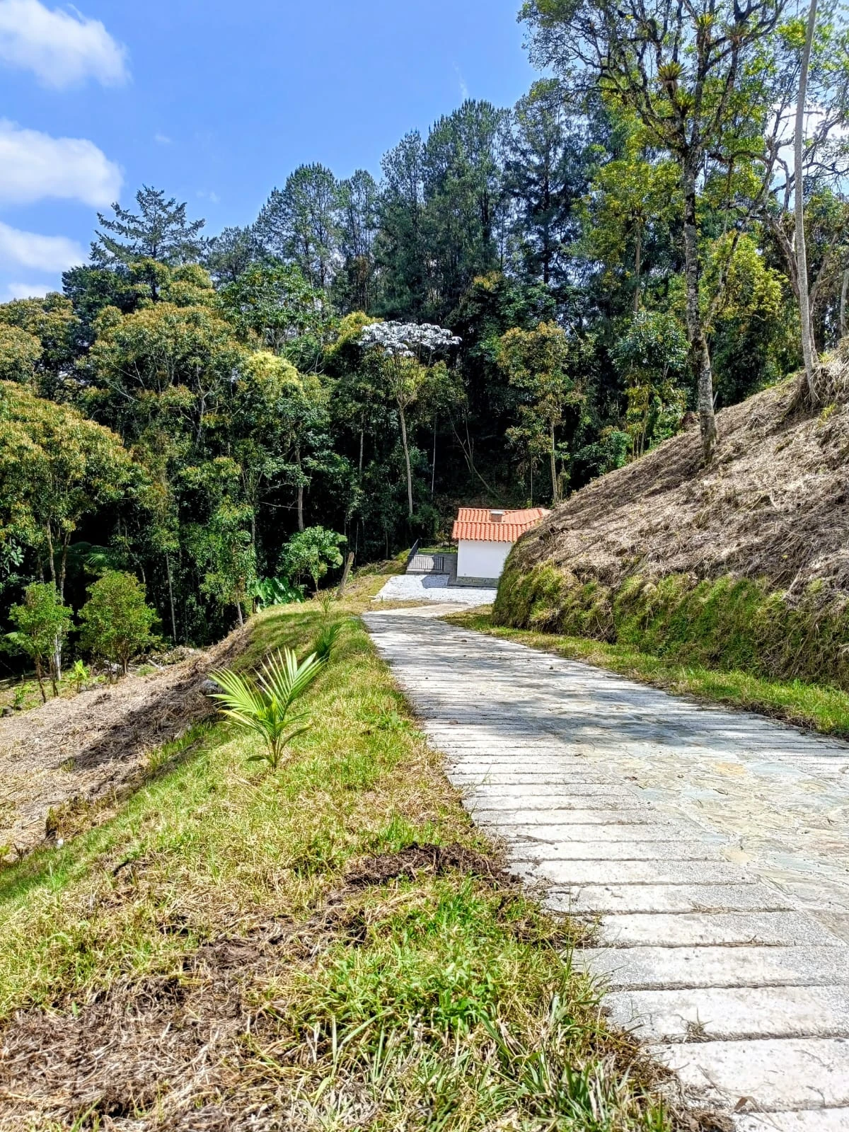 Casa campestre en arriendo en vereda el tablazo
